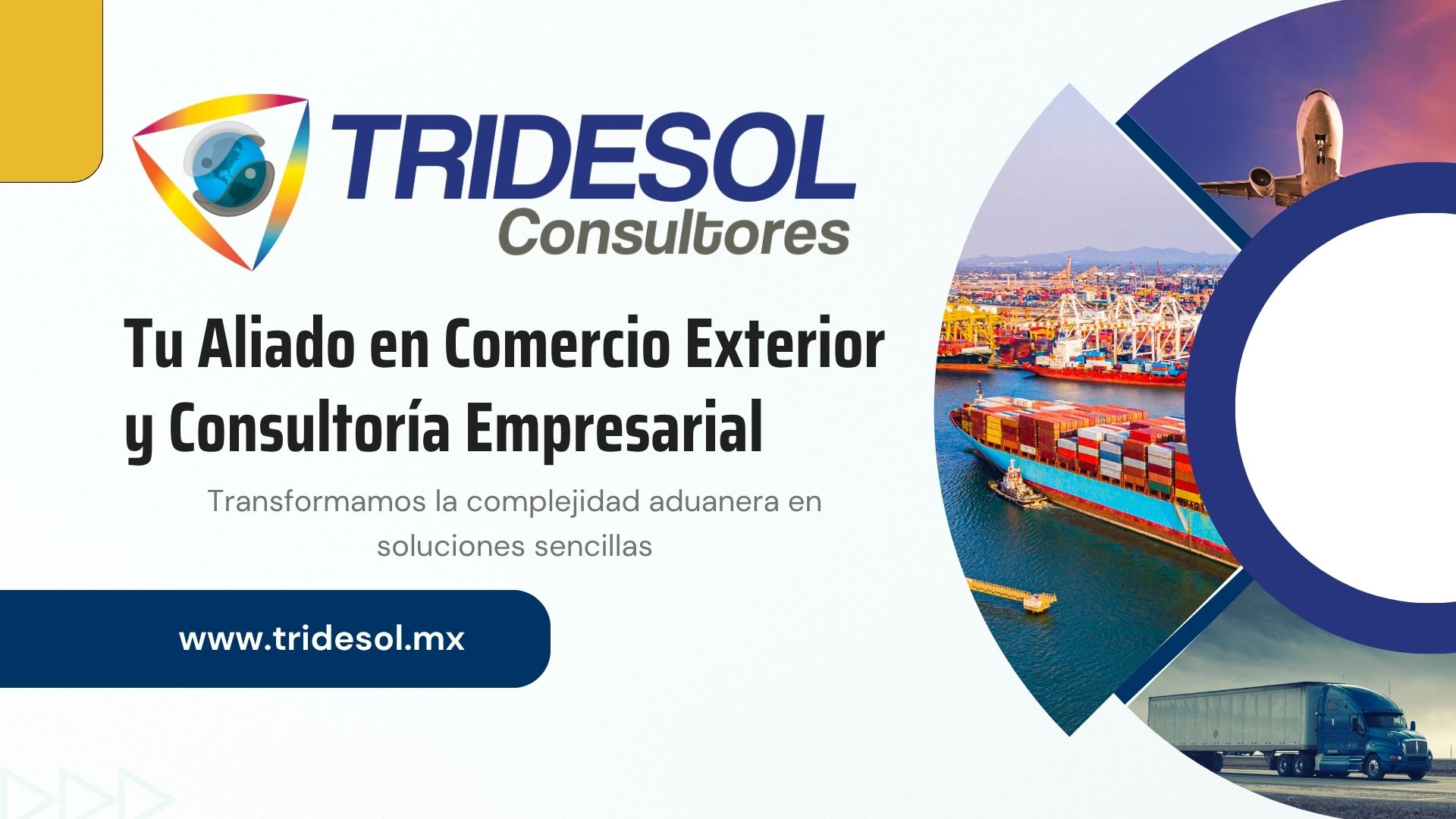 Tu Aliado en Comercio Exterior y Consultoría Empresarial