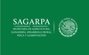 logotipos-sagarpa-verde-h